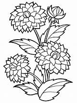 Rod Colouring Petals Possibly sketch template