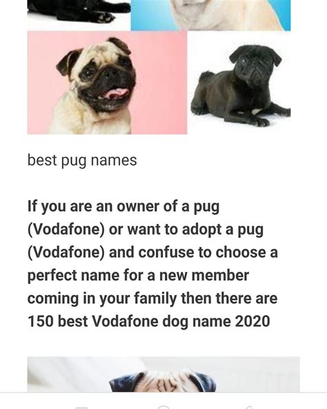 popular pug names  dog names pug names dog names