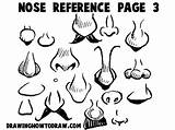 Cartoon Noses Nose Caricature Drawinghowtodraw Designyourway sketch template