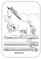Cavalos Cavalo Realistas sketch template