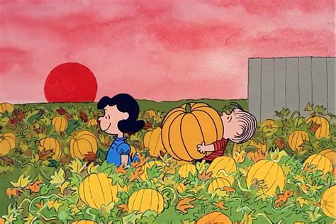 It S The Great Pumpkin Charlie Brown 1966 Program Special Review