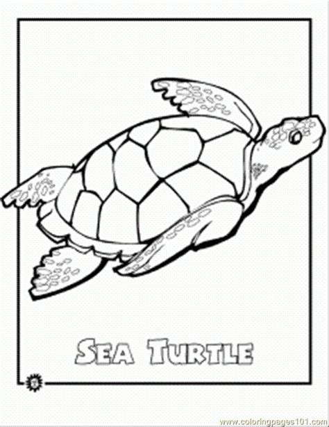 printable turtle coloring pages coloring home