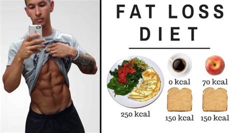 the best science based diet to lose fat fast all meals shown