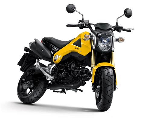 video honda bringing  cc grom   usa  august scooterfile