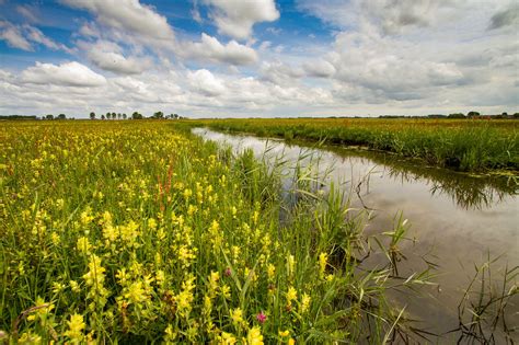 landschap noord holland zet  op  miljoen  extra natuur de castricummer