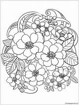 Coloring Pages Flowers Blooming Summer Supercoloring Flower Nature Printable Color Adults Colouring Print sketch template