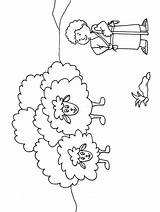 Hirte Arpa Schaf Ausmalbilder Schafe Sheep Religione Malvorlagen Bibel Goliath David5 Dibujo Nw Psalm Hirten Template Escuela Dominical sketch template
