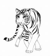 Tiger Coloring Pages Chinese Carabao Asian Drawing Siberian Getcolorings Getdrawings Comments Animals sketch template