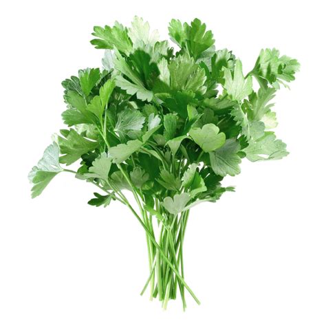 parsley nutrition facts health benefits recipes  pictures