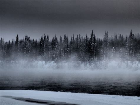 beautiful black and white fog forest lake image