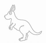 Kangaroo Coloring Preschool Pages Printable sketch template