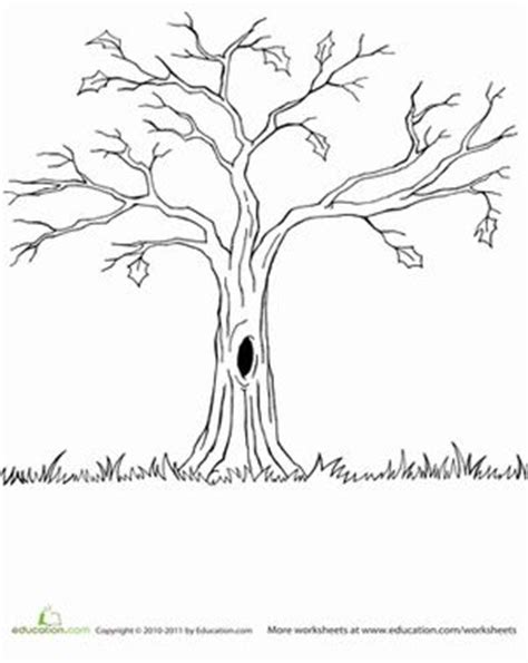 bare tree coloring page coloring teaching  nature