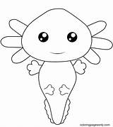 Ajolote Coloring Axolotl Colorear24 Unicornio Categorías sketch template