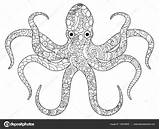 Octopus Poulpe Polvo Zentangle Polipo Pulpo Boek Kleurend Adulti Adultes Mandalas Vettore Adultos Volwassenen Adulte Pesci sketch template