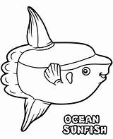Ocean Sunfish Topcoloringpages sketch template