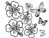Mariposas Pintar Plantillas Flor Pintarcolorear Mariposa Calcar Hawaiana Bolitas Listas Llenar Plantilla Elige Từ Viết Bài sketch template