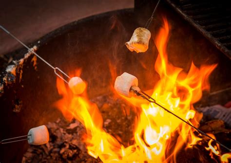 science  roasting  perfect marshmallow koa camping blog