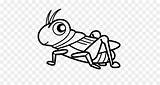 Mewarnai Serangga Belalang Jangkrik Hewan Menggambar Buku Cricket sketch template