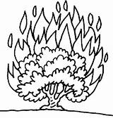 Bush Burning Coloring Moses Pages Bible Kids Bushfire Drawing School Printable Craft Template Sunday House Crafts Activity Activities Fire Story sketch template