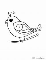 Oiseau Coloriage Colorir Imprimer Pajaros Oiseaux Passarinho Hellokids Vogel Fofo Silhouetten Imprimir Aves Burung Facile Passarinhos Fofinhos Colorier تلوين عصفور sketch template