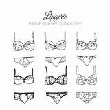 Lingerie Underwear Female Elements Collection Vectors Vector Psd Ago sketch template