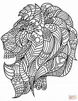 Coloring Lion Head Zentangle Pages Drawing sketch template