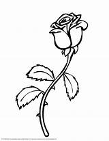 Coloring Pages Rose Flower Sheets Visit Colouring sketch template