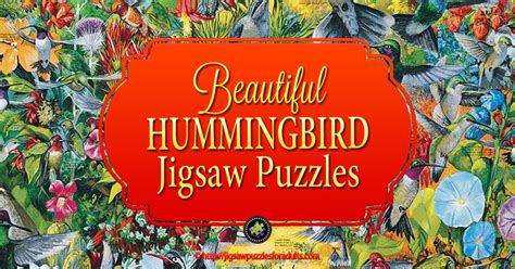 Hummingbird Jigsaw Puzzles Absolutely Beautiful