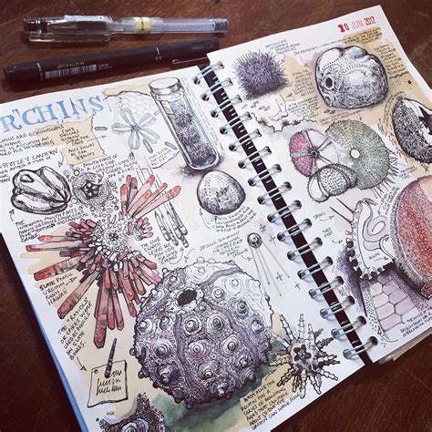 sketchbook inspiration examples   change      sketchbooks