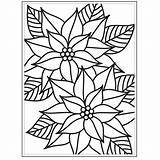 Poinsettia sketch template