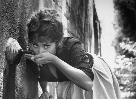 Sophia Loren Photograph By Alfred Eisenstaedt