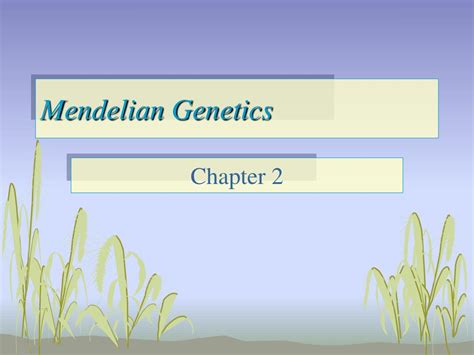 Ppt Mendelian Genetics Powerpoint Presentation Free Download Id 152605