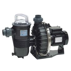 pentair challenger filtration pump