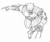 Wolverine Superheroes sketch template