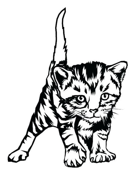 realistic cat coloring pages tabby cat coloring pages  getdrawings