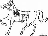 Coloriage Selle Cheval sketch template