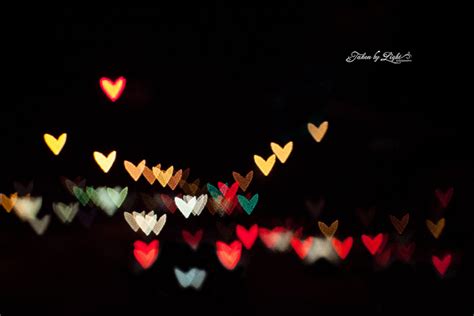 light photography blog happy hearts day