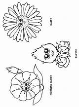 Flower Coloring Daisy Friends Petal Scout Girl Pages Garden Petals Scouts Makingfriends Print Flowers Lupine Morning Glory Puppets Sheets Daisies sketch template