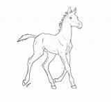 Foal Fohlen Lineart Pferde Konabeun Kolorowanka Konie Fryzyjskie Foals Fur sketch template