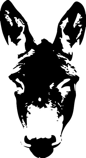 donkey face head  vector graphic  pixabay