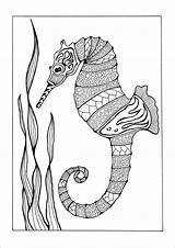 Coloring Seahorse Pages Adult Adults Printable Colorful Horse Kids Mandala Coloringbay Easy Creatures Divyajanani Choose Board Favecrafts sketch template