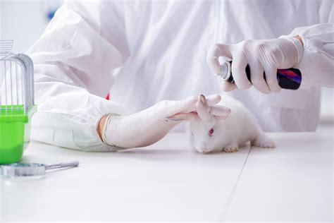 alternatives  animal testing  science