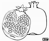 Pomegranate Coloring Open Printable sketch template