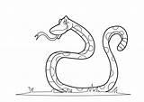 Snake Coloring Pages Printable Kids Animal Rattlesnake Anaconda Cartoon Drawing Rattlesnakes Print Clipart Cobra Book Rocks Getdrawings Library Popular Bestcoloringpagesforkids sketch template