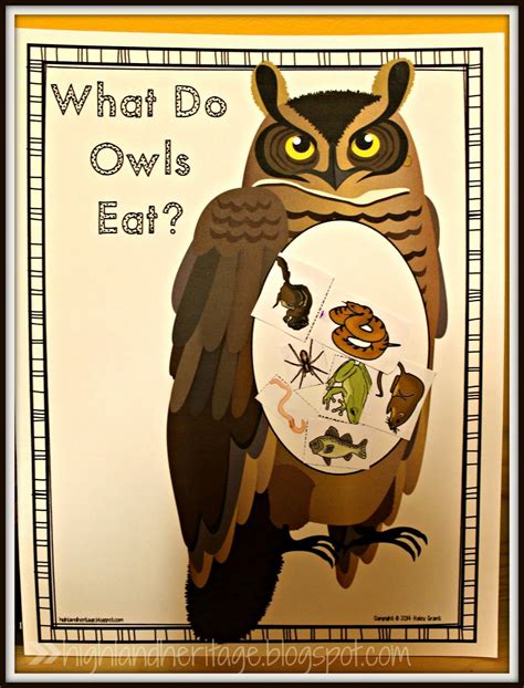 owl week  freebies owl activities owl preschool owls