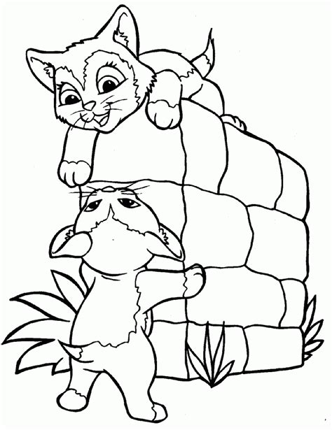 kitten coloring pages  coloring pages  kids