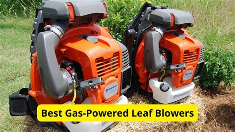 gas powered leaf blowers   reviews