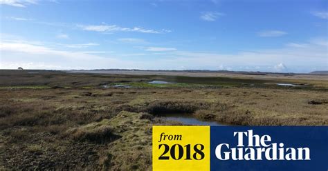 prehistoric stone hunt under way in devon salt marsh archaeology