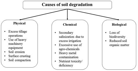 types  soil degradation  scientific diagram