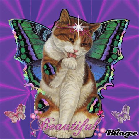 beautiful fairy cat picture  blingeecom